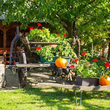 In - Balaton 18964 Lägenhet