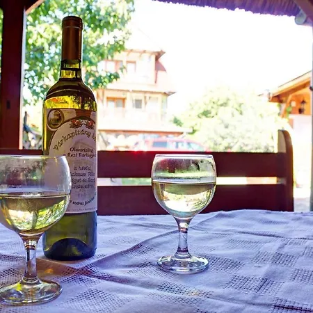 In - Balaton 18964 *